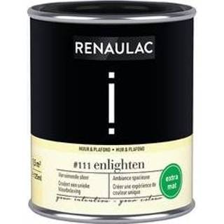 👉 Plafondverf male Renaulac muur- en Intention Enlighten extra mat 125ml 4004014900437