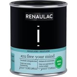 👉 Plafondverf male Renaulac muur- en Intention Free Your Mind extra mat 125ml 4004014900574