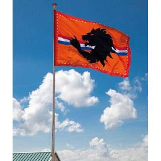 👉 Vlag oranje active EK | WK met leeuw supportersvlag 60x90cm 7435127379310