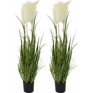 👉 Kunstplant Set van 2x stuks Cortaderia Pampasgras grasplanten kunstplanten in pot 100 cm