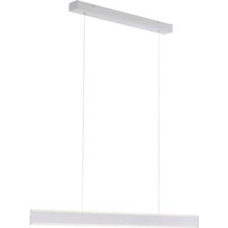 👉 Design hanglamp active Paul Neuhaus Arina 8363-55 4012248325193