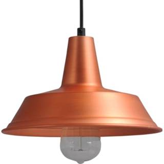 👉 Hanglamp roodkoperen active Masterlight Industria 25 2545-55-55-S 8718121145785 8718121237602