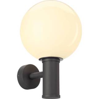 👉 Wand lamp active SLV - verlichting Wandlamp Gloo Pure 1002002 4024163222235