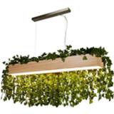 👉 Houten active Searchlight Ash 7231 5053423119526