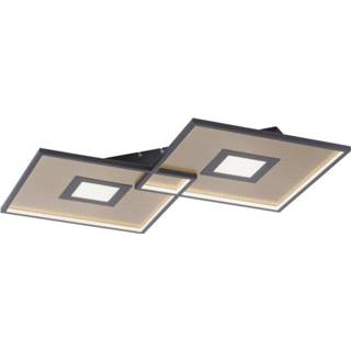 👉 Plafond lamp active Paul Neuhaus Amara 8378-18 4012248351390