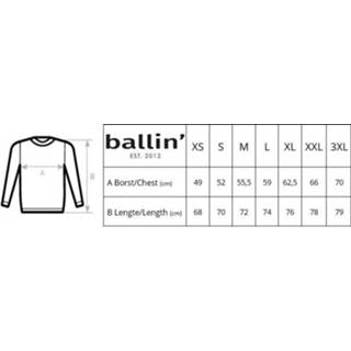 👉 Ballin Est. 2013 Small logo sweater