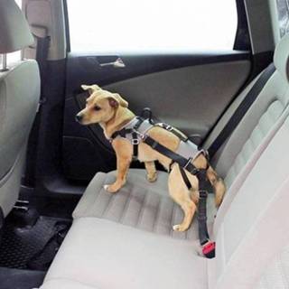 👉 Honden autotuig Travel Protect
