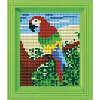 👉 GeenKleur Pixelhobby Classic Papagaai 10x12 cm 8718468431251