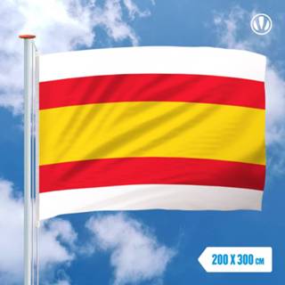 👉 Vlag active Lemmer 200x300cm 7424953577571