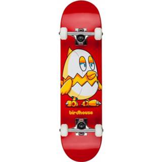 👉 Skateboard Stage 1 Chicken - Complete 1202104050021