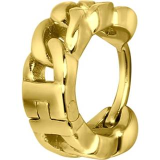 👉 Helixpiercing zilveren goud zilver rond gold gourmet 8719802232381