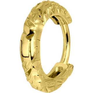 👉 Helixpiercing zilveren goud zilver rond gold diamond cut 8719802231988