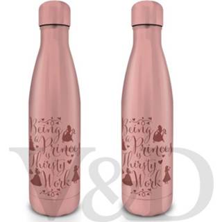 👉 Drinkfles metalen One Size no color Disney Princess Thirsty Work - drink fles 5050574255530