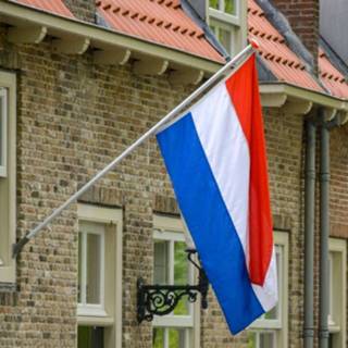 👉 Nederlandse vlag active Pakket met stok 7424952062047