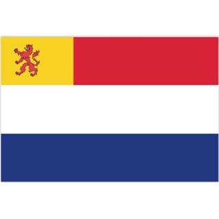 👉 Vlag active Nederland met inzet Zuid-Holland 70x100cm 7424949942932