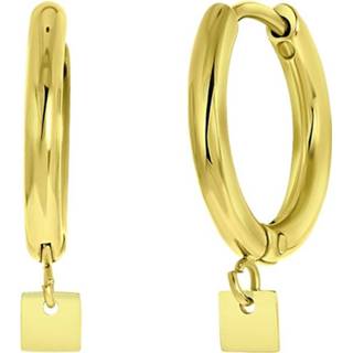 👉 Oorbel staal goud Gaia oorbellen 8719802214721
