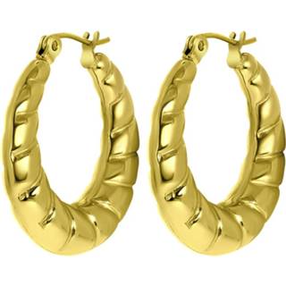 👉 Oorbel staal goud Joy oorbellen 8719802214851