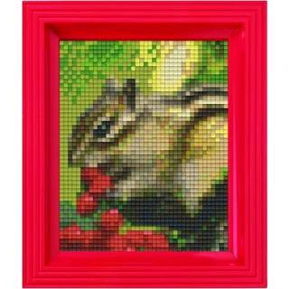👉 GeenKleur Pixelhobby Classic Eekhoorn 10x12 cm 8718468312369