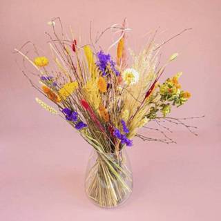 👉 Droogbloem bont bloemen verschillende kleuren Droogbloemen