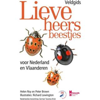 👉 Veldgids nederlands Helen Roy lieveheersbeestjes voor Nederland en Vlaanderen 9789021577784