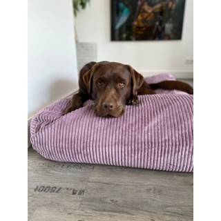 👉 Hondenbed lavendel Dog's Companion® giant ribcord