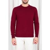 👉 Sweater male rood 1622320546342