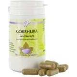 👉 Holisan Gokshura 60 capsules