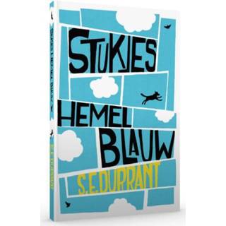 👉 Stukjes Hemelblauw. Sue Durrant, Paperback