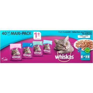 👉 Whiskas Maxi pack Gelei - Kattenvoer - Zalm - Tonijn - Gelei - 40x100 gram
