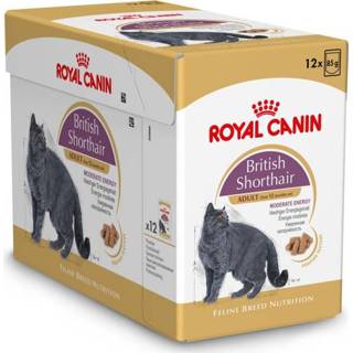 👉 Kattenvoer Royal Canin British Shorthair Adult Pouch - Pate 12x85 gram 9003579001240