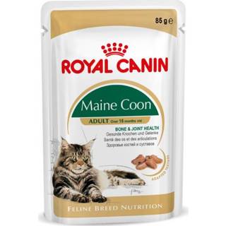 👉 Kattenvoer Royal Canin Maine Coon Adult Pouch - Pate 12x85 gram 9003579001202