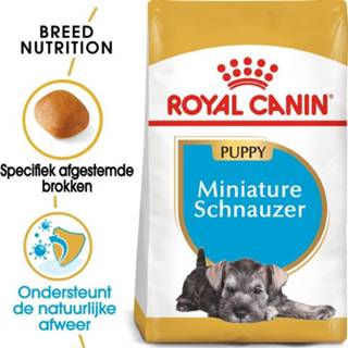 👉 Hondenvoer Royal Canin Mini Schnauzer Junior - 1,5 kg 3182550813105