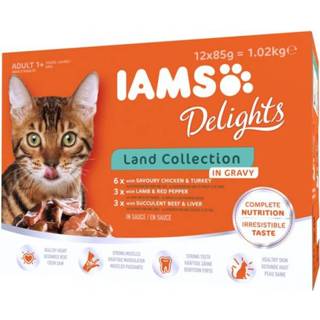 👉 Kalkoen IAMS Land - Delights Vlees Gravy 1,02 kg 8710255100418