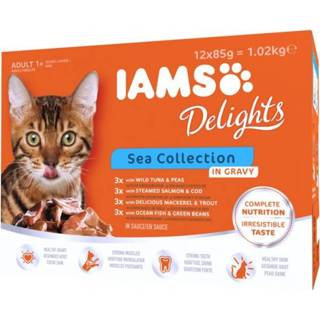 👉 IAMS Sea - Delights Vis Zalm Gravy 1,02 kg 8710255100401