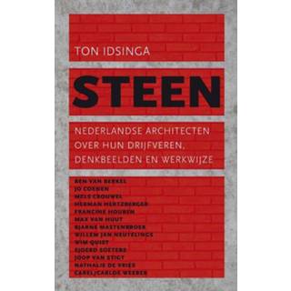 👉 Steen - Boek Ton Idsinga (9025366937)