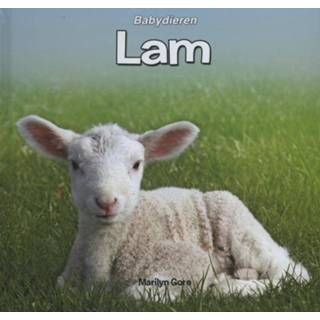 👉 Lam - Marilyn Gore (ISBN: 9789055669707)