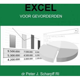 👉 Excel voor Gevorderden - Dr Peter J. Scharpff Ri (ISBN: 9789464051377) 9789464051377