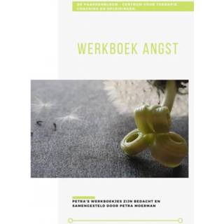 👉 Werkboek Angst 9789464051452