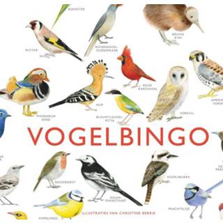 👉 Vogelbingo 9789021578781