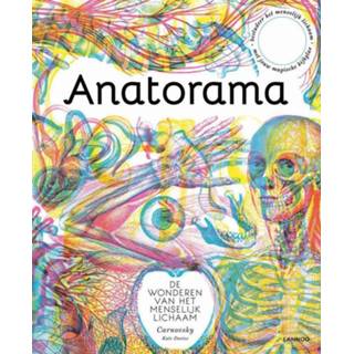 👉 Anatorama. De wonderen van het menselijk lichaam, Kate Davies, Hardcover