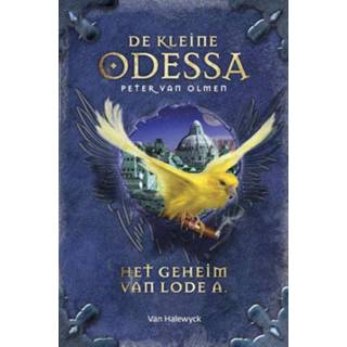 👉 Het geheim van Lode A. Van Olmen, Peter, Hardcover