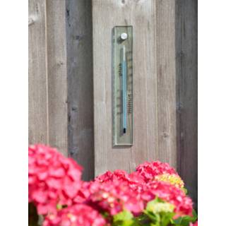 👉 Thermometer transparant glas One Size Binnen/buiten van 4 x 26 cm -Binnen/buitenthemometers - Temperatuurmeters 8720276539470