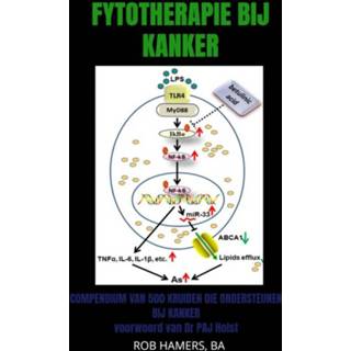 👉 Nederlands Fytotherapie bij Kanker 9789403615547