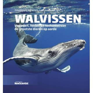 👉 Walvissen - Wetenschappelijke Bibliotheek 9789085716440