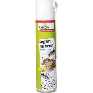 👉 Mierenspray One Size meerkleurig 1x / mierenspuitbus - ongediertebestrijding 8720147933888