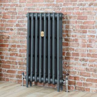 👉 Gietijzeren radiator 66cm Hoog Antiek Zilver | Kies de Breedte Mercury 5051752987793