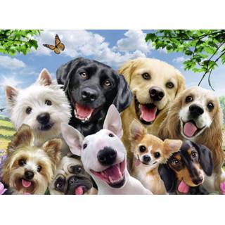 👉 Puzzel One Size GeenKleur hondenselfie - 300 stukjes Legpuzzel Ravensburger 4005556132287