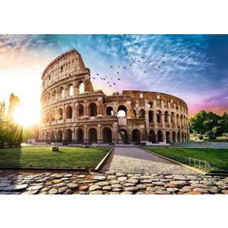 👉 Puzzel One Size GeenKleur Colosseum - 1000 stukjes Legpuzzel Trefl 5900511104684