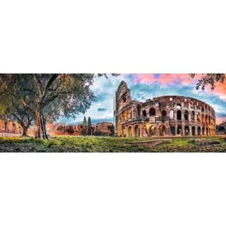 👉 Puzzel One Size GeenKleur Panorama Colloseum Rome - 1000 stukjes Legpuzzel Trefl 5900511290301