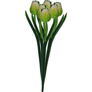👉 Groen houten hout active 6x Hollandse tulpen 35 cm souvenirs